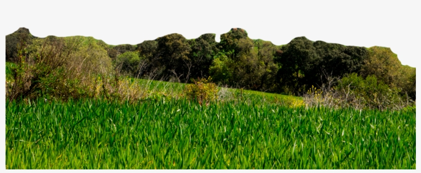 Routes, transparent png