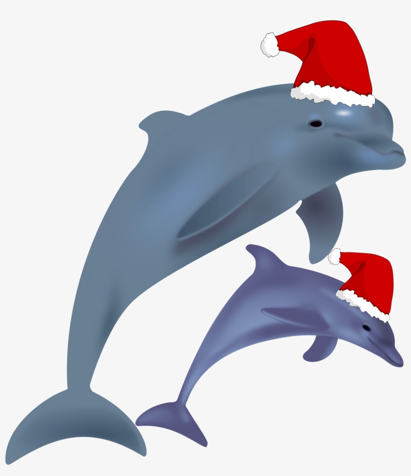 Big Image - Christmas Dolphin, transparent png