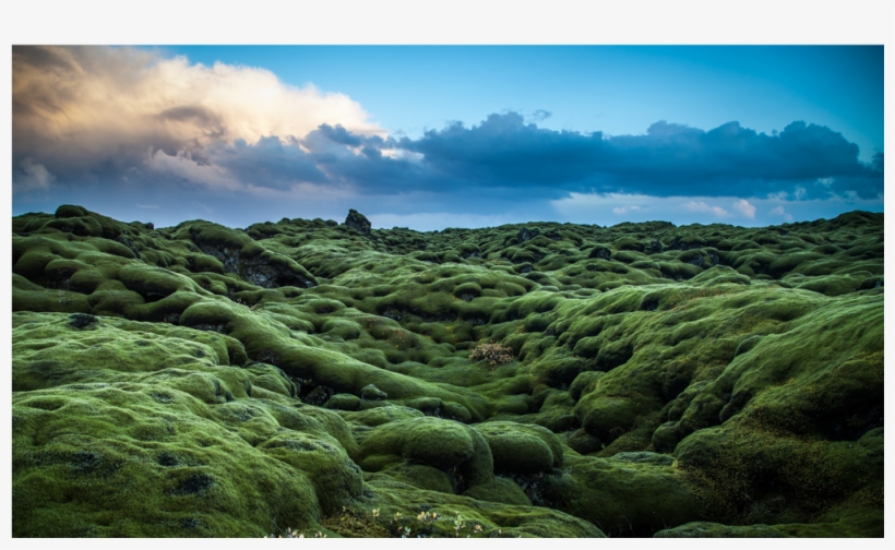 Grass Hill Png, transparent png