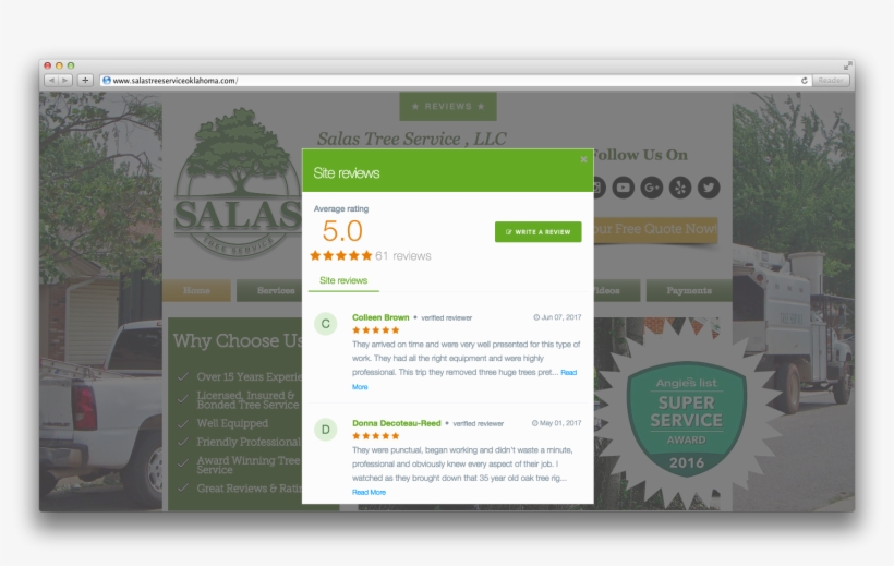 Salas Tree Service Online Reviews - Tree, transparent png