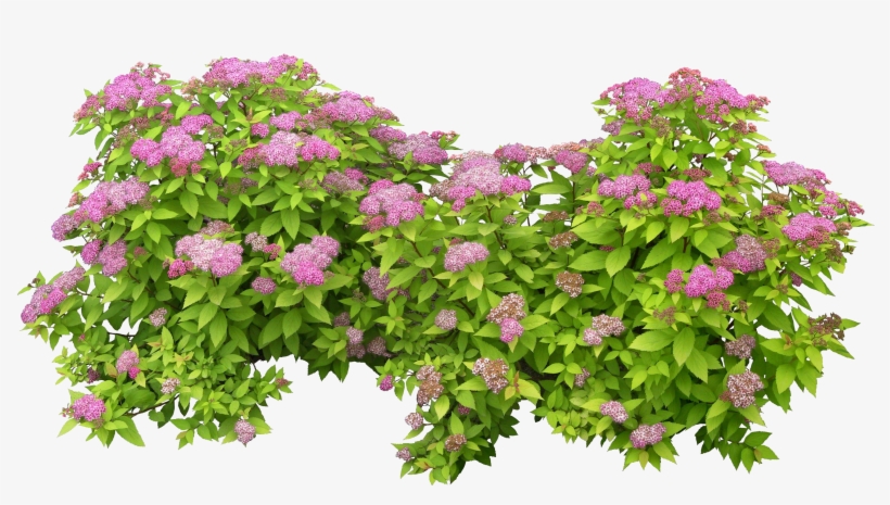 3080 X 1600 18, transparent png