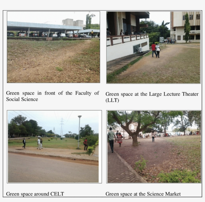 Lawns Used As " Pathways " By Some Ucc Students - Walking, transparent png