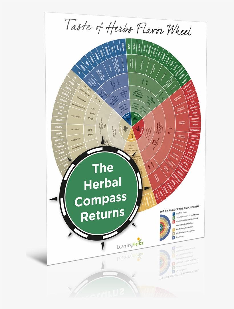 How To Choose The Right Herb For The Right Person With - Taste Of Herbs Flavor Wheel, transparent png