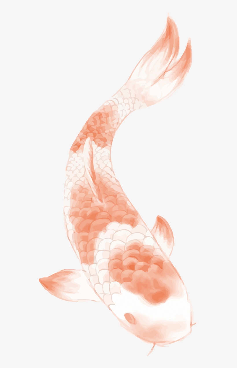 Butterfly Koi Chinese Tattoo Carp Wind Clipart - Lotus Tattoo Designs, transparent png