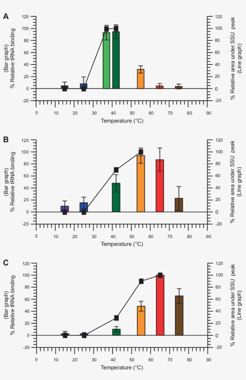 Percent Relative Trna Binding With Bar Graph Colors - Diagram, transparent png