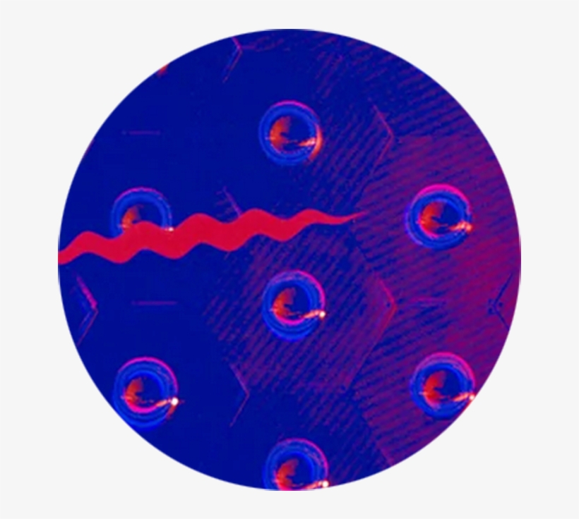 Dots - Circle, transparent png