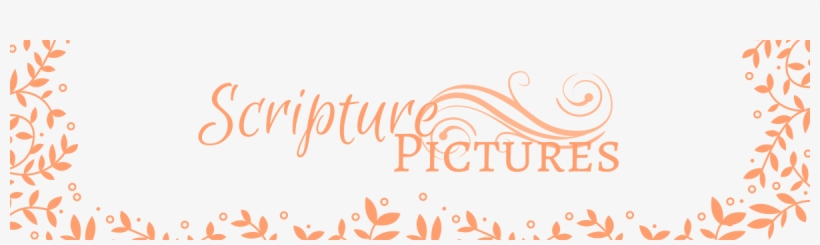 Scripture Pictures Shop Newsletter - Calligraphy, transparent png