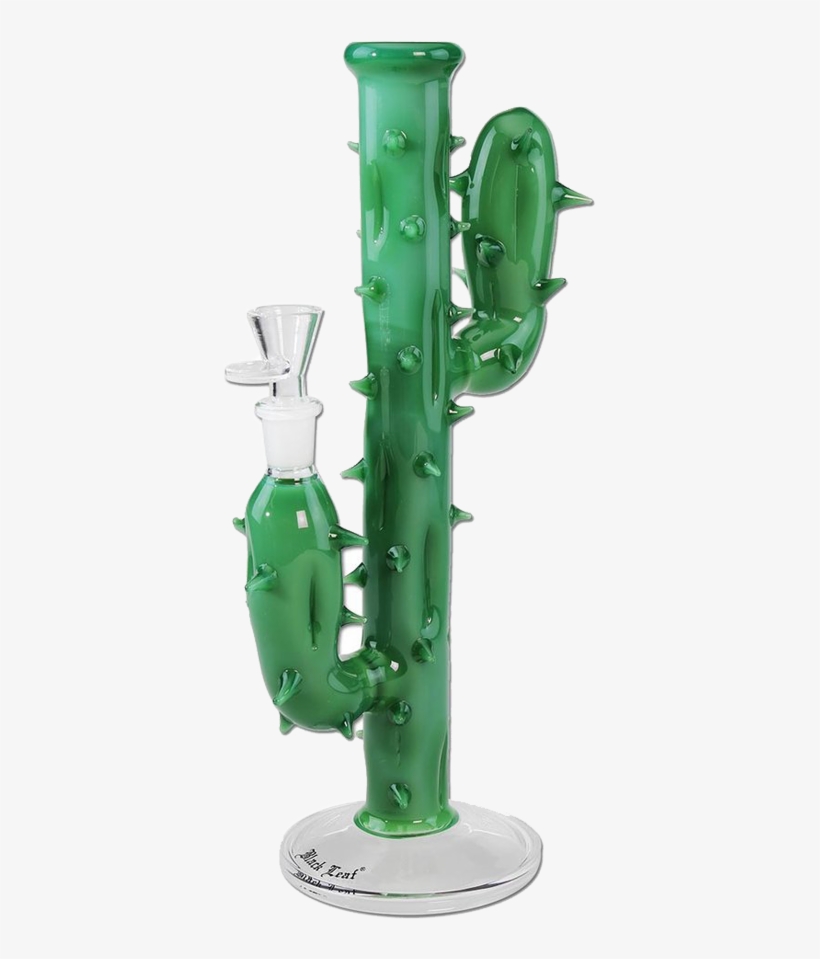 Black Leaf Cactus Bong - Cactus, transparent png