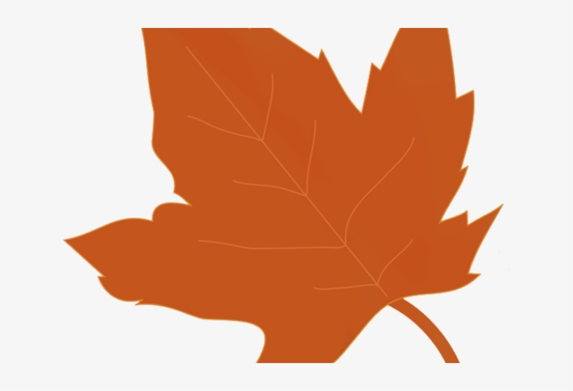 Autumn Leaves Clipart Transparent Background - Clip Art, transparent png