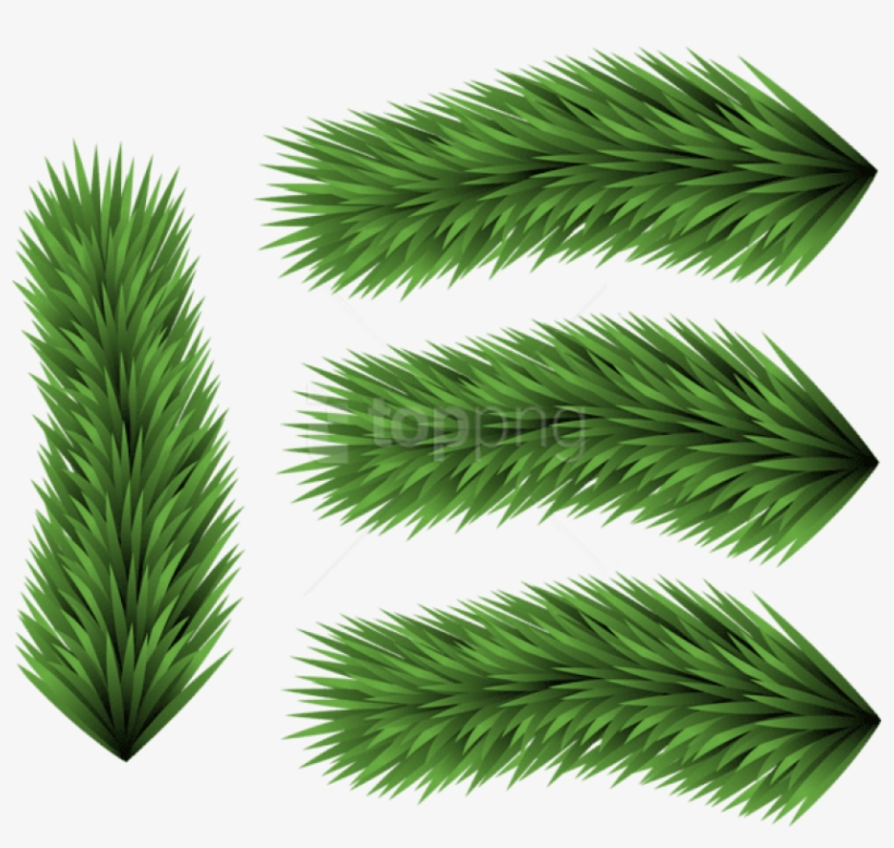 Free Png Set Of Pine Branches Png - Grass, transparent png