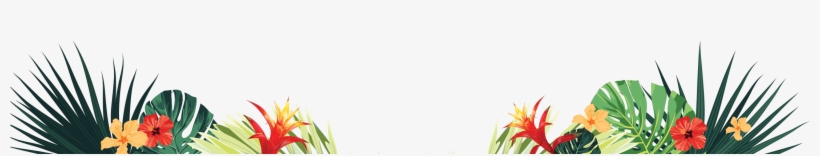 Hfw Footer - Grass, transparent png