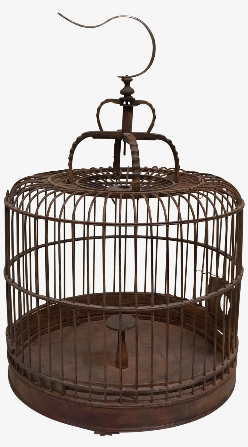 1371 X 2409 3 - Cage, transparent png