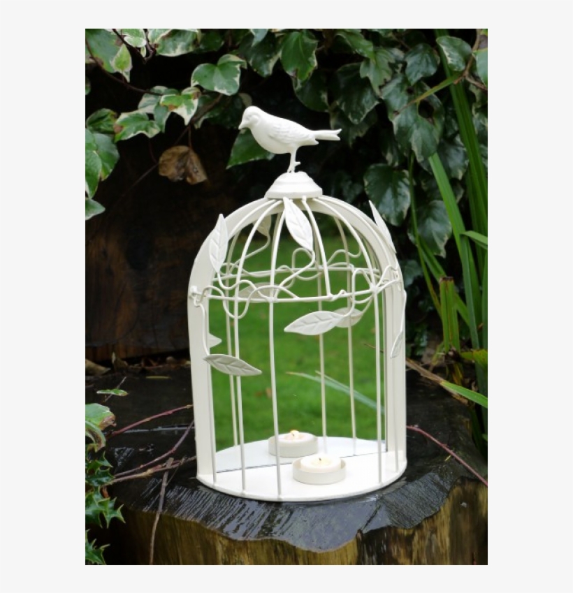 Cage, transparent png