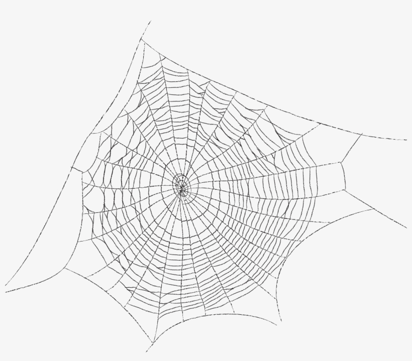 3600 X 3011 13 - Паутина В Пнг, transparent png