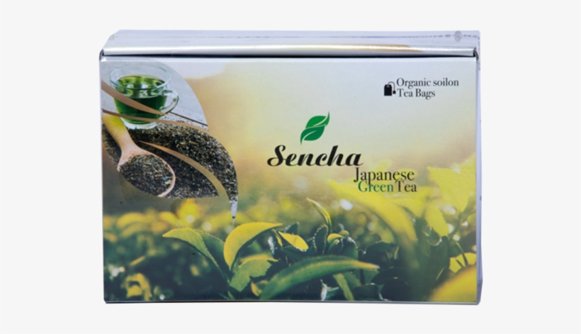 Hometea Bagsencha Green Tea Bag - Box, transparent png