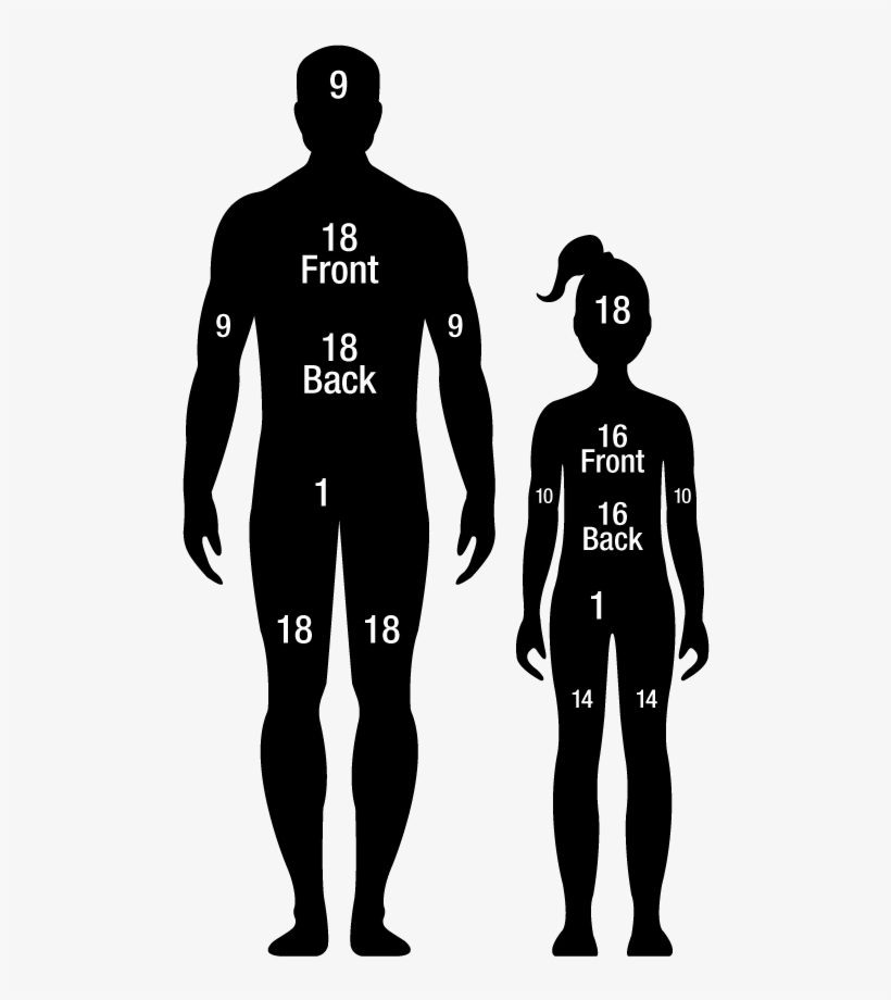 Percentage Total Body Surface Area Burn - Wetsuit, transparent png
