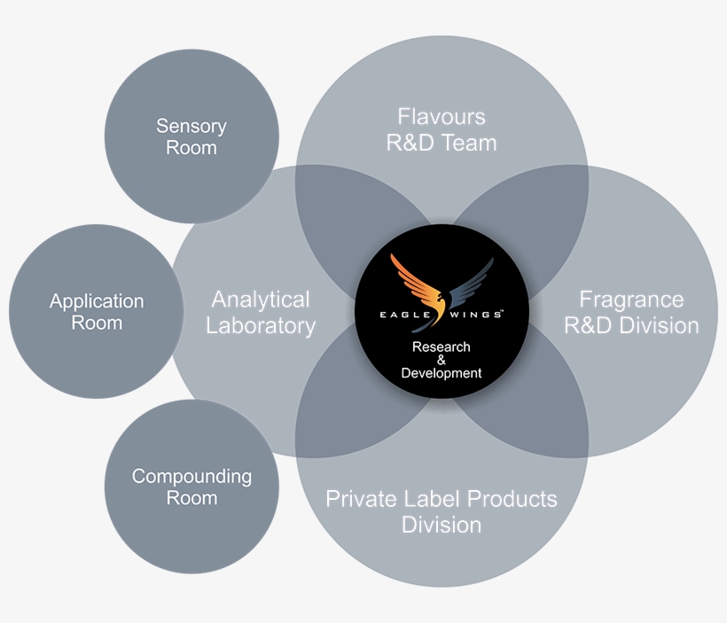 Get In Touch - Circle, transparent png