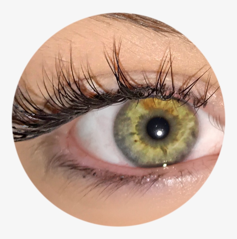 Eyelash Extensions - Eye Shadow, transparent png