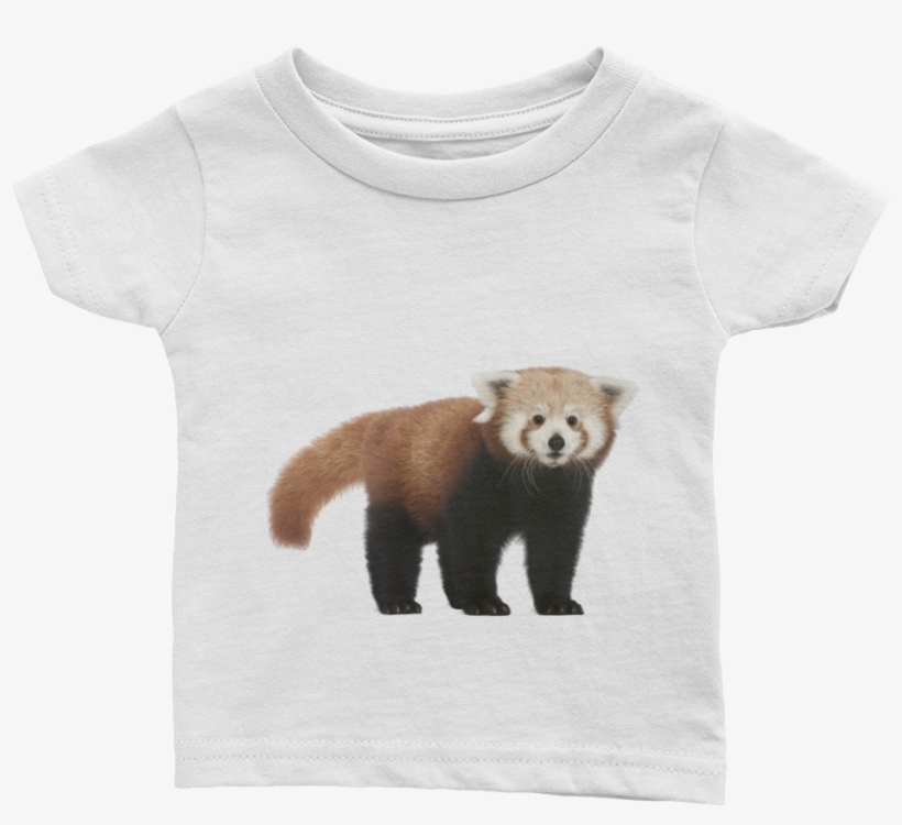 Red-panda Print Infant Tee - Red Panda, transparent png
