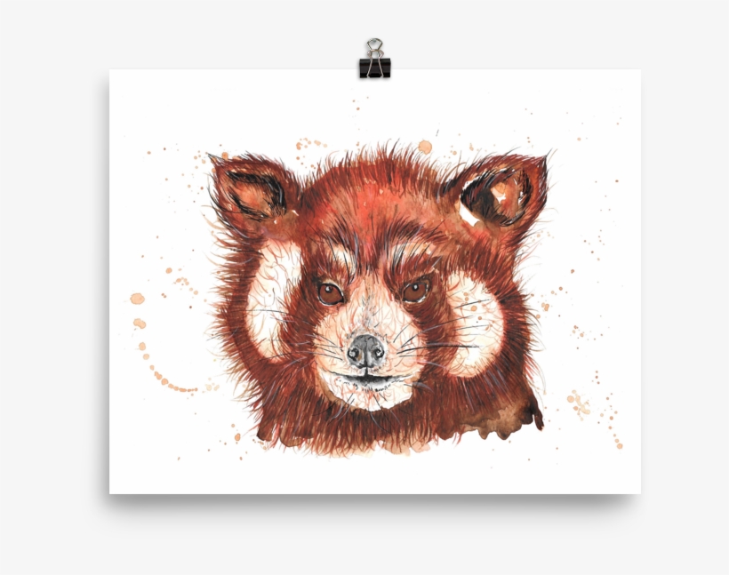 Image Of 'red Panda' - Red Fox - 1000x1000 PNG Download - PNGkit