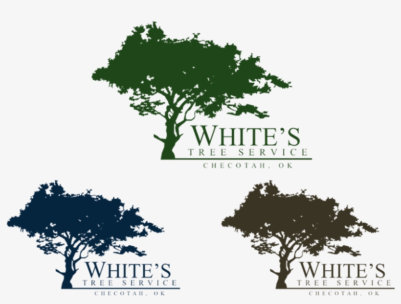 Logo For White S Tree Service Pinterest Trees Logos - Oak, transparent png