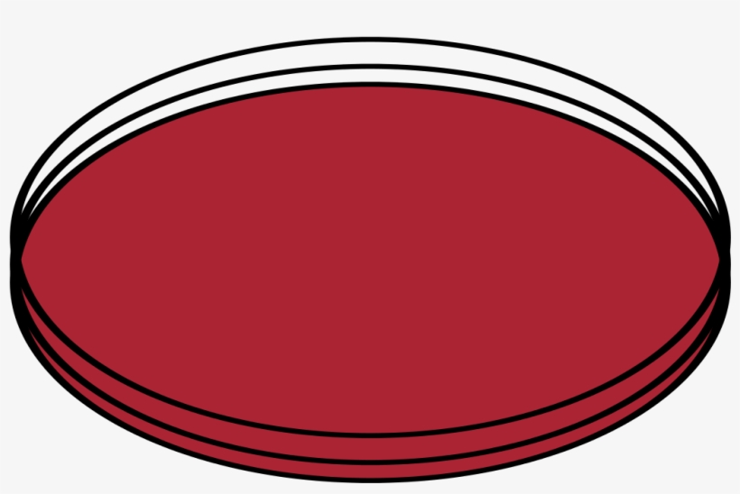 Petri Dishes Closed - Circle, transparent png