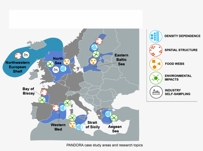 Case Study Regions - Map, transparent png