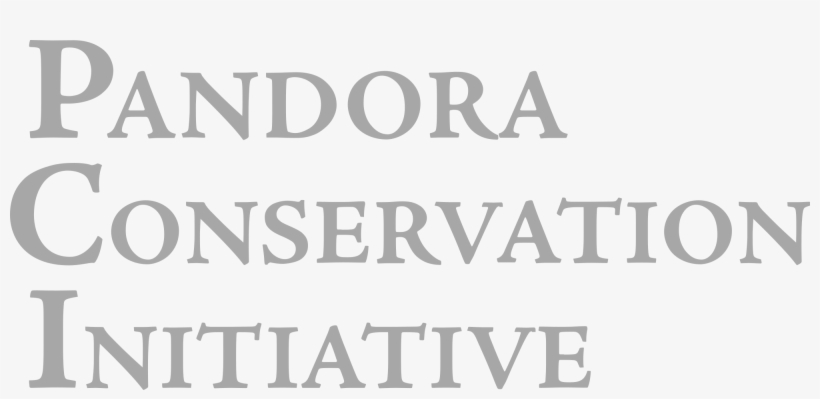Open - Monochrome, transparent png