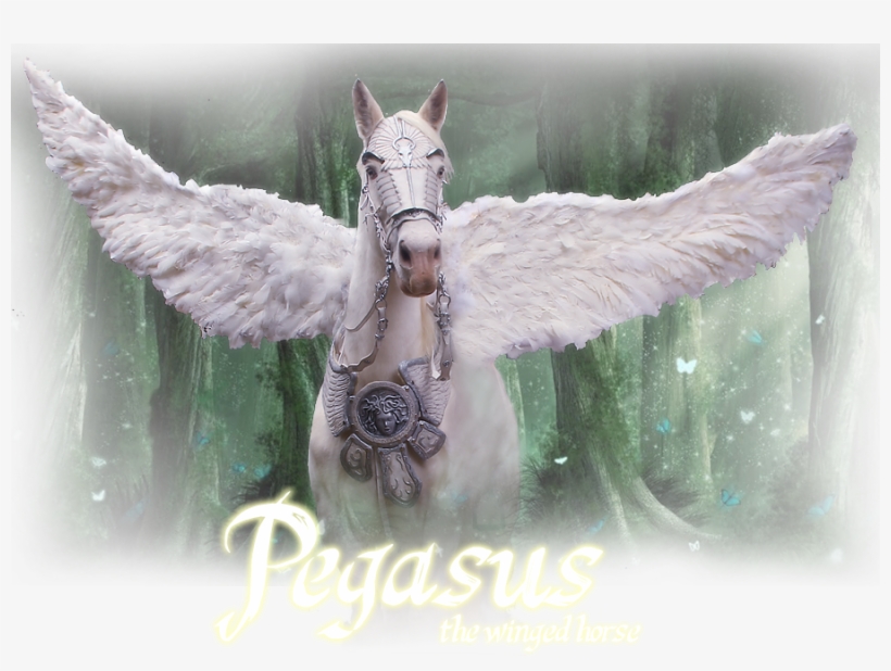Pegasus Is One Of The Mythological And Fantastic Beings, transparent png