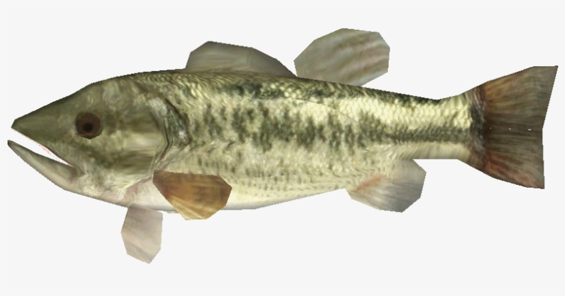 Largemouthbasslego - Oily Fish, transparent png