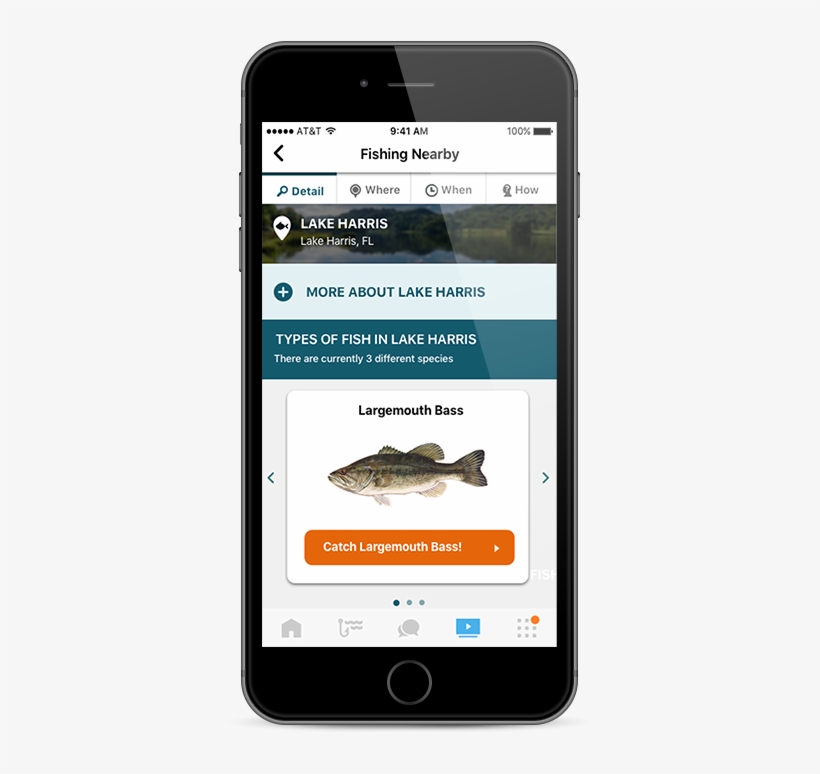 Your Guide - Cool Fish Detail App, transparent png