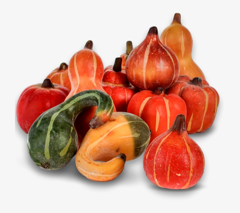 Pumpkin, Fall, Autumn, Harvest, Thanksgiving, Season - Calabaza, transparent png