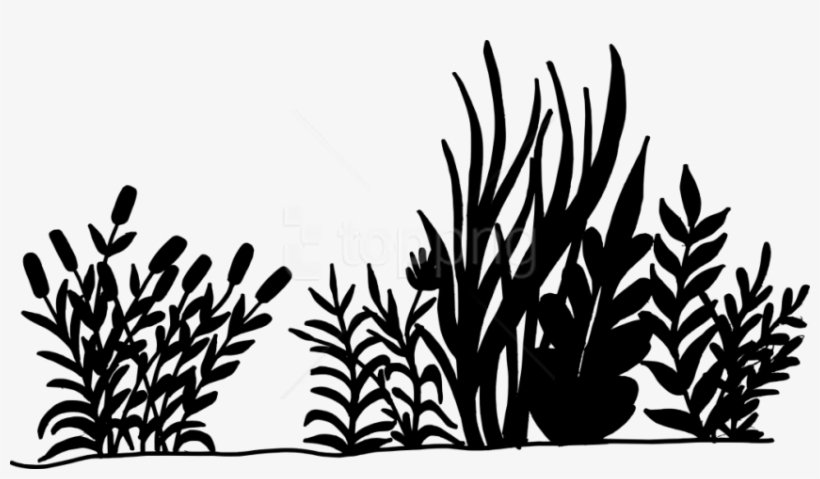 Free Png Nature Background Silhouette Png Images Transparent - Transparent Background Black And White Grass, transparent png