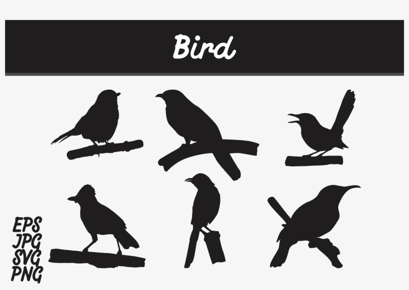Bird Silhouette Set Svg Vector Image Bundle Graphic - Batik Mega Mendung Vector, transparent png