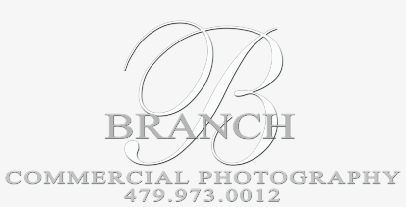 Branch Commercial Photography Logo - Calligraphy, transparent png