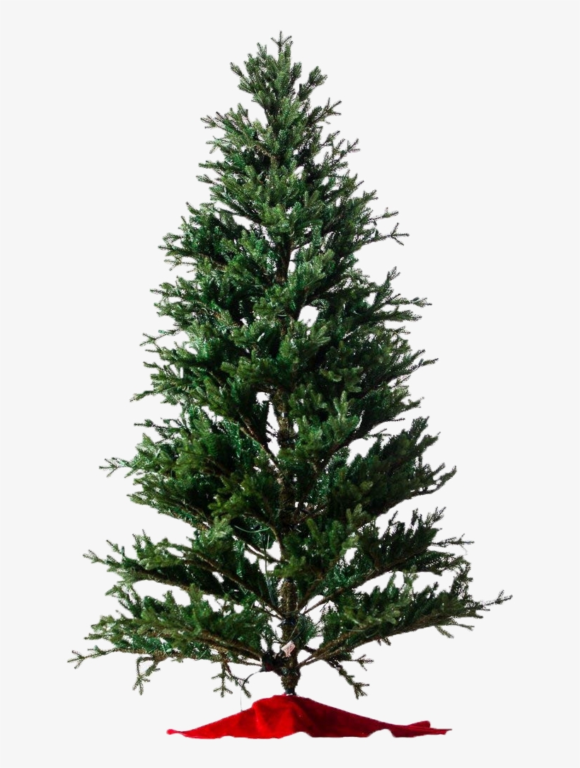 Baby Pine Lit & Unlit Artificial Christmas Trees - Hybrid Christmas Tree, transparent png