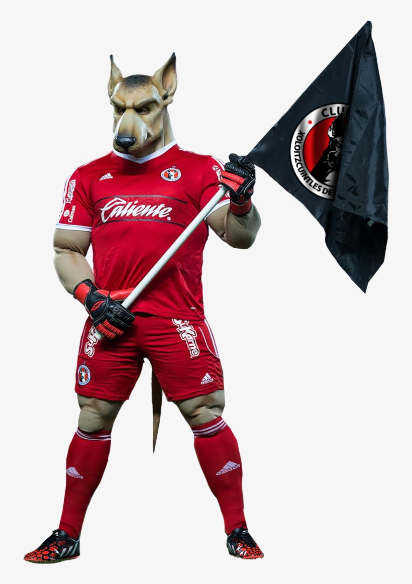 Flag, transparent png
