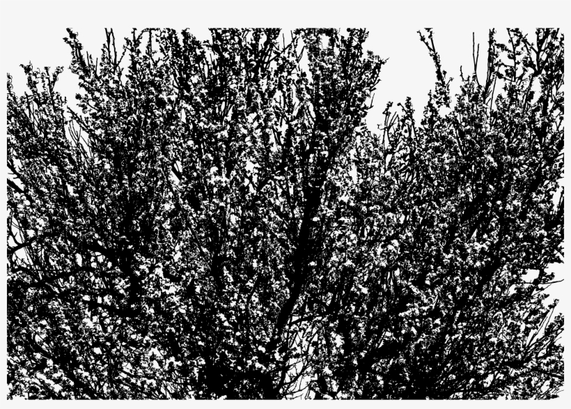 Big Image - Monochrome, transparent png