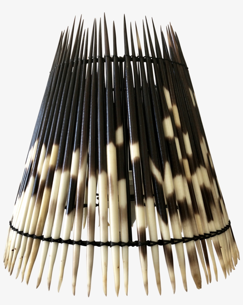 Porcupine - Cosmetics, transparent png