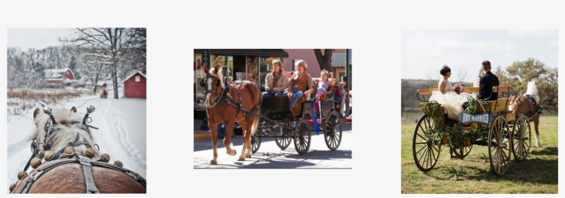 Book The Carriage That Best Suits Your Event Choose - Horse And Buggy, transparent png