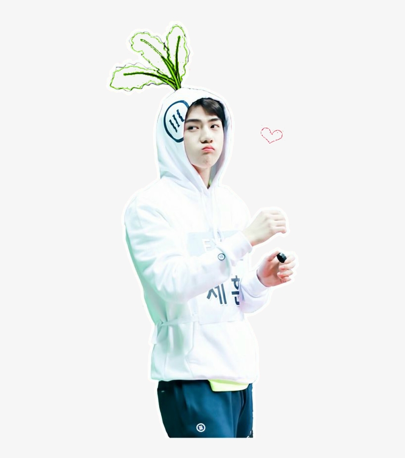 Sehun Cute Wallpaper Hd, transparent png