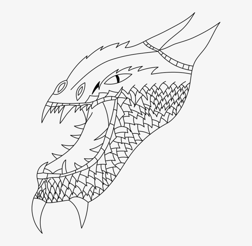 Dragon, No Background, The Head Of The, Monster - Line Art, transparent png