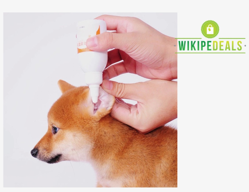 Pet Ear Cleaning Rinser - Hokkaido, transparent png