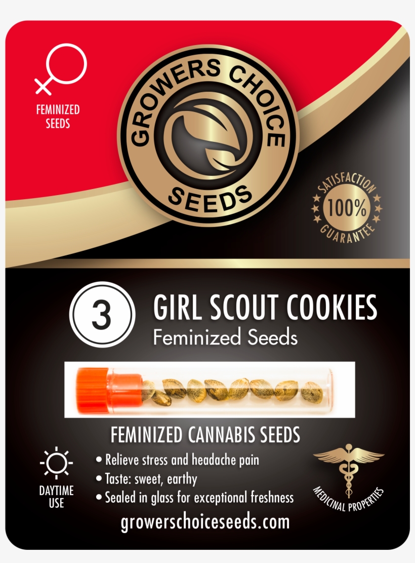 Home » Products » Girl Scout Cookies Feminized Cannabis - White Widow, transparent png