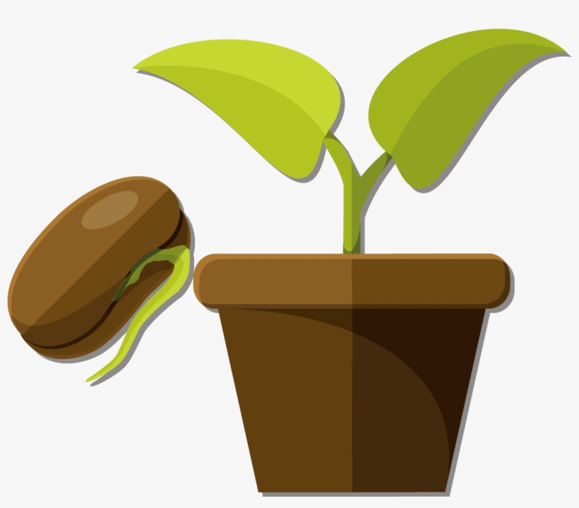 Snow Pea Flowerpot And Potted Plants Vector - Semillas Y Plantas Png, transparent png