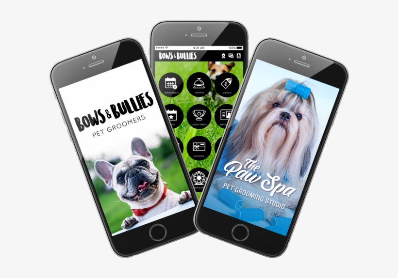 Photo Of Example Of Custom Pet Grooming Business Apps - Iphone, transparent png
