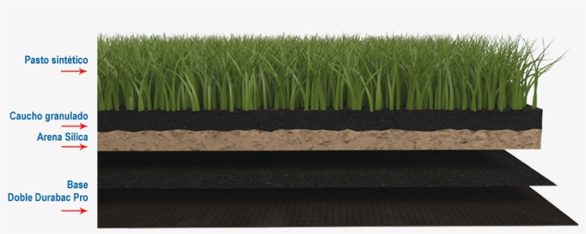 Tipos De Fibra - Arena Silica Pasto Sintetico, transparent png