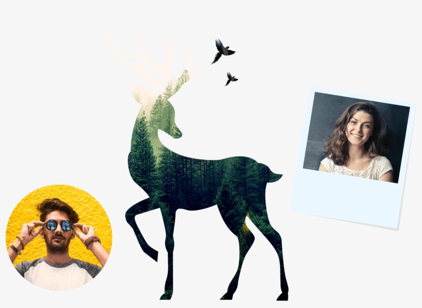 Cool Frames - Reindeer Dasher, transparent png