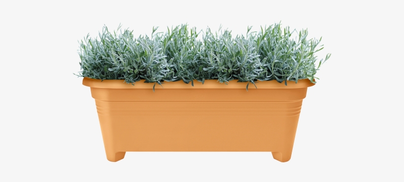 Home > Collection > Green Basics Long - Flowerpot, transparent png