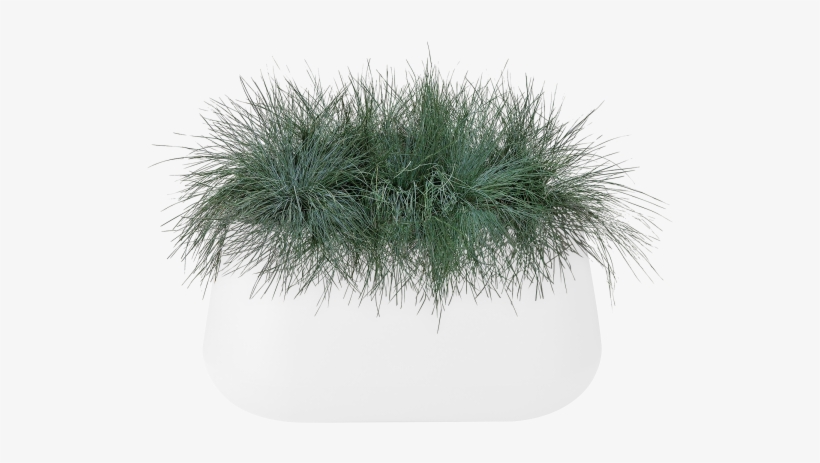 Home > Collection > Pure Cone Long - Grass, transparent png